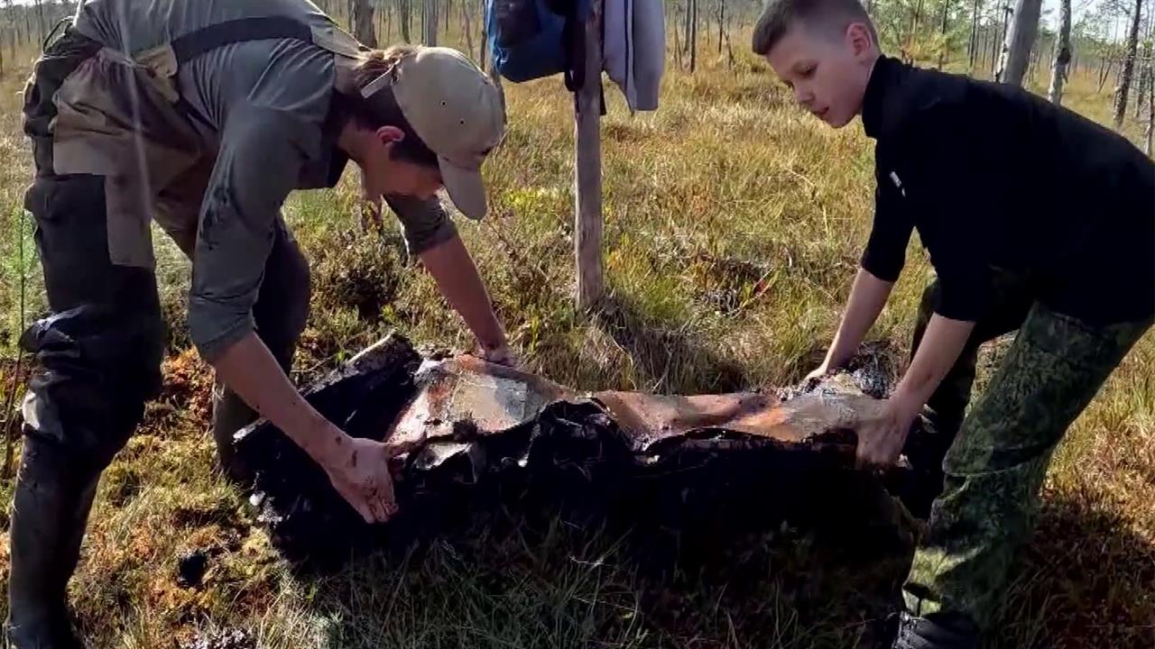 В Ленинградской области найдены обломки сбитого в 1943 году Ил-2