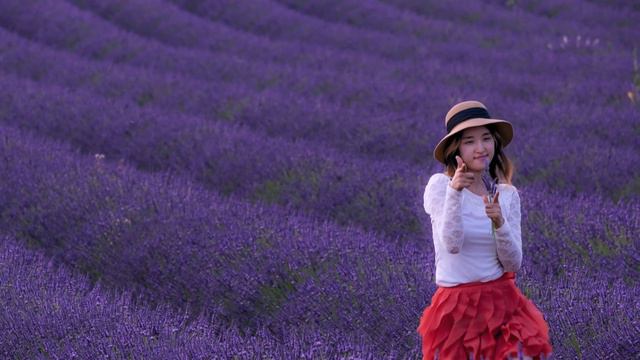 Provence; Lavender Provence - France 2019 - 4K. смотреть онлайн