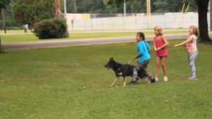 GERMAN SHEPHERD protects CHILD!?
