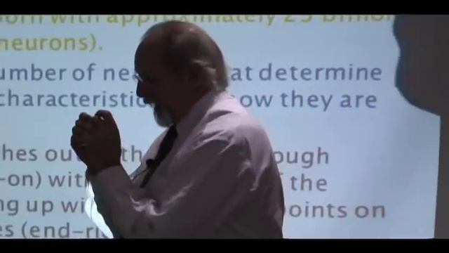 Principles of Nurturing Part 1 смотреть онлайн