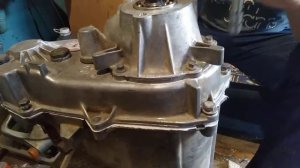 Натяжитель "успокоитель" цепи из Капролона 231.242  раздатки