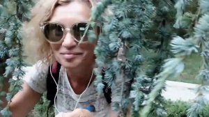 Вот он какой Кедр Атласский. Массандровский парк.Ялта. Крым.