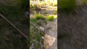 Вибрация Хёндэ Солярис 2017 модельного года.  1,6