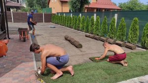 укладка рулонного газона и сетка от кротов