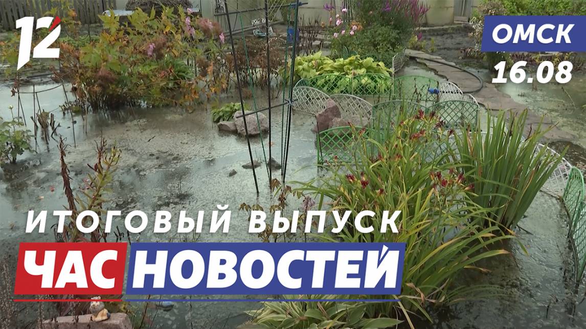 Топит дачи / Необычные домашние питомцы / Собаки оккупировали подъезд. Новости Омска