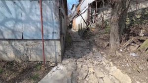 БУГУДОНИЯ-ПРОГУЛКА ПО ЛАБИРИНТУ-ТАГАНРОГ