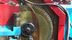 Керченская колония переполнена