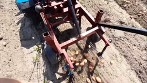 Уборка картофеля ВИБРАЦИОННОЙ КАРТОФЕЛЕКОПАЛКОЙ по влажному грунту, 2021 год