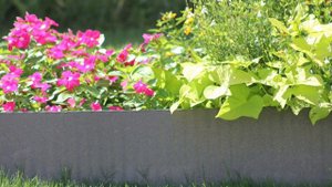 Rosie the Riveter Memorial Rose Garden - 3 21 21