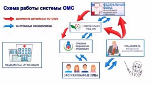 Как работает система ОМС