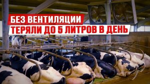 Как ферма снизила потери молока | Установка вентиляции в коровнике | Микроклимат в коровн