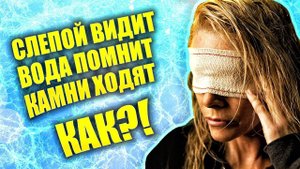 Тайна воды. Неорганические формы жизни. Энергия и информация. Юрий Анатольевич Рахманин | Техногон