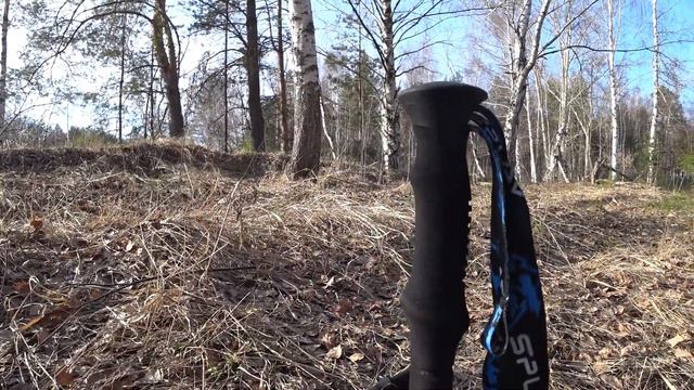Надежные треккинговые палки для крепких парней с тяжелыми рюкзаками. Mountain Tall Alu от Сплава.