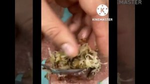 Свиные рулетики с грибами и сыром.