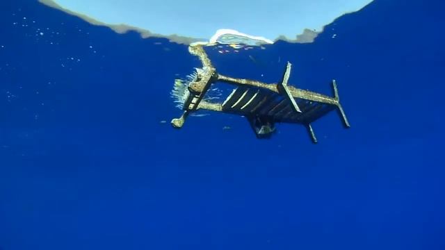 Последствия загрязнения Мирового океана смотреть онлайн