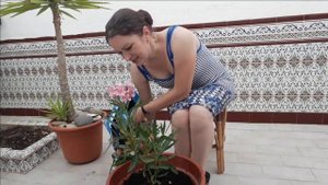 НУЖЕН ВАШ СОВЕТ //ПЕРЕСАДКА ОЛЕАНДРА //Обзор террасы