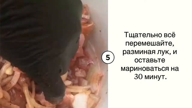 Шашлык в гранатовом маринаде | Шашлык из индейки