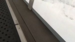 Охта парк ватрушки