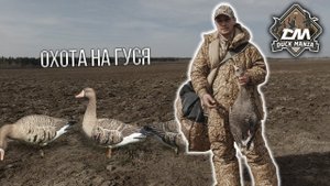 Весенняя охота на гуся 2023 | гусиные чучела Duck Mania Elite и Softplast Alfa | Махокрыл Duck Mania