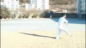 Стиль синъи багуачжан (形意八卦掌) или "Ладонь восьми триграмм формы и намерения".