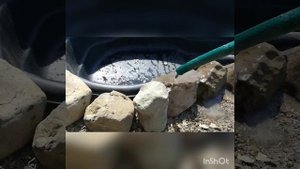 Наша дача июнь 2018