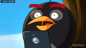 Angry birds toons seasons 4 episode 5 Gaming with Bomb