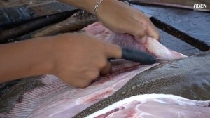 Разделка рыбы в Сальвадоре