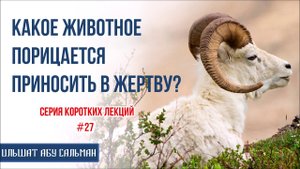 Ильшат Абу Сальман. Какое животное порицается приносить в жертву? Серия лекций Курбан-Байрам