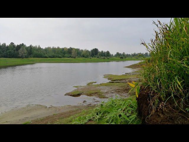 Река Тавда порадовала щукой и окунем в этот раз, сентябрь 2020 #NIK_72 смотреть онлайн