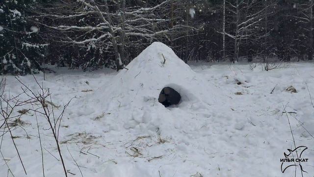 СНЕЖНАЯ ПЕЩЕРА, укрытие из снега, выживание