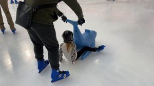 Милана первый раз выходит на лед. Учимся кататься на коньках. Семейный поход на каток.