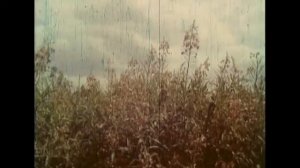 Содержание пчёл в многокорпусных ульях (СССР, ЛЕННАУЧФИЛЬМ 1964)