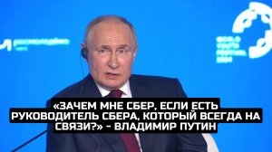 «Зачем мне Сбер, если есть руководитель Сбера, который всегда на связи?» - Владимир Путин