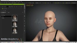 Character Creator 3 Tutorial - Content  Manager