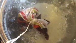 Насадка для рыбалки на ЛИНЯ, КАРАСЯ, КАРПА, ЛЕЩА. Натуральная, прочная, не дорогая.