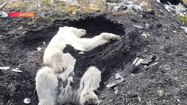 2109 ДИКСОНА БОЛЬШЕ НЕТ смотреть онлайн