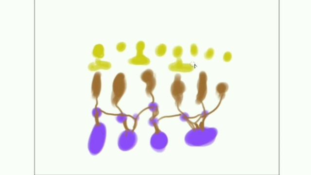 Строение зрительного анализатора, сетчатки. Вспомогательные органы глаза