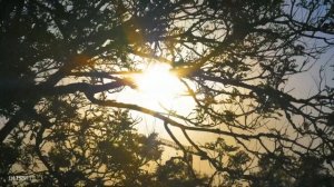 Расслабляющая Музыка Релакс, Гитара и Пианино - Очень Красивое Видео!