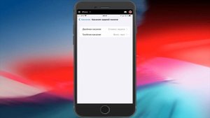 2 стука и Айфон сделает скриншот автоматически (Работает на iPhone 8 и поздние модели!)