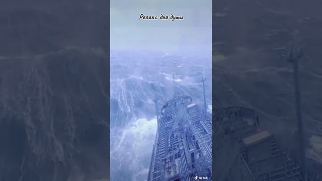 #shortsvideo