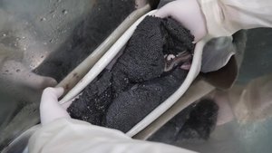 Черная икра, дорогое и интересное производство \ Азиатская кухня \ Корейская еда