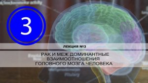 РАК и междоминантные взаимоотношения головного мозга человека. Лекция №3