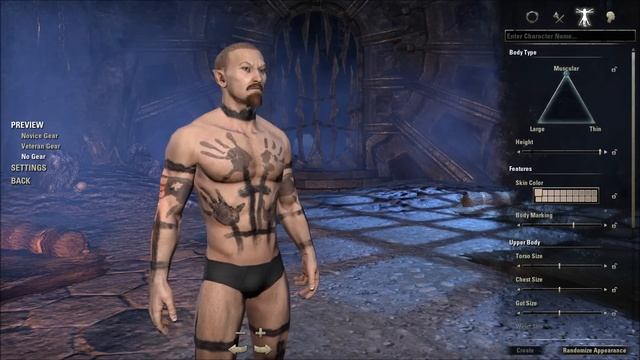 TES Online: Создание персонажа в игре The Elder Scrolls Online смотреть онлайн