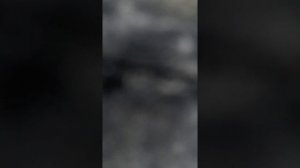 Стук двигателя на горячую и холодную. Гидрокомпенсаторы, или натяжитель цепи? Ч.2 горячая.