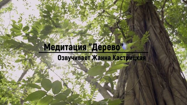 #Медитация "Дерево". Тест на гипнабельность