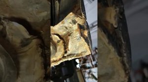 Шкода Рапид подвержена коррозии