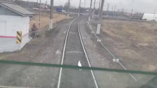 Заяц и поезд.mp4