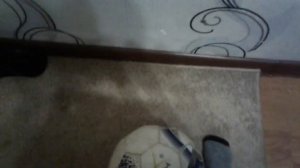 Как научится пинать мяч (финты) #1