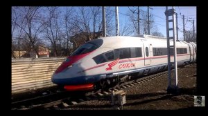 Сапсан  поезд №701 пл. Салтыковская