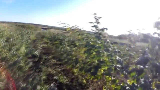 малина посадка и уход в сибири смотреть онлайн